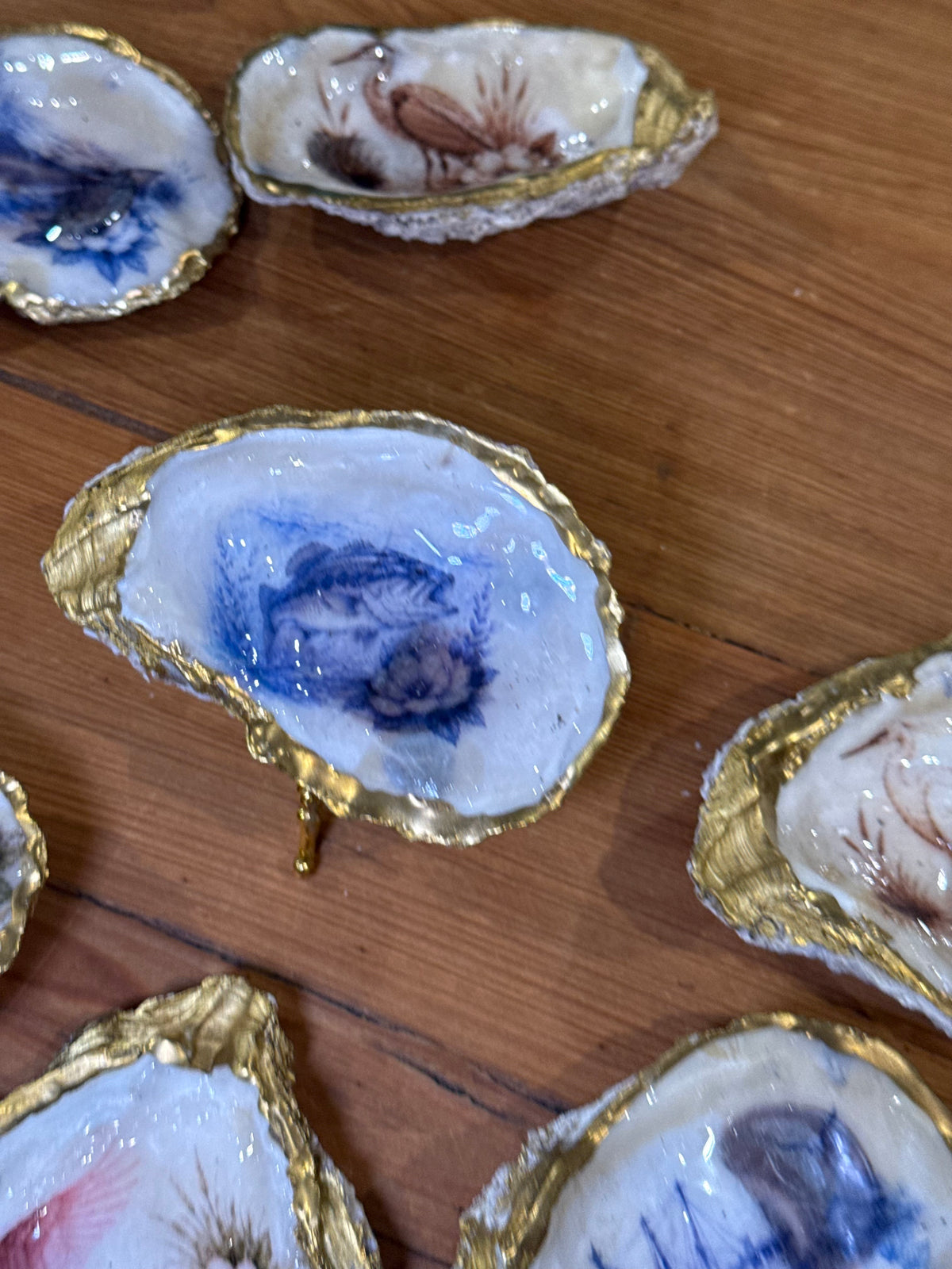 Louisiana Blue Bass Gilded Oyster Shell